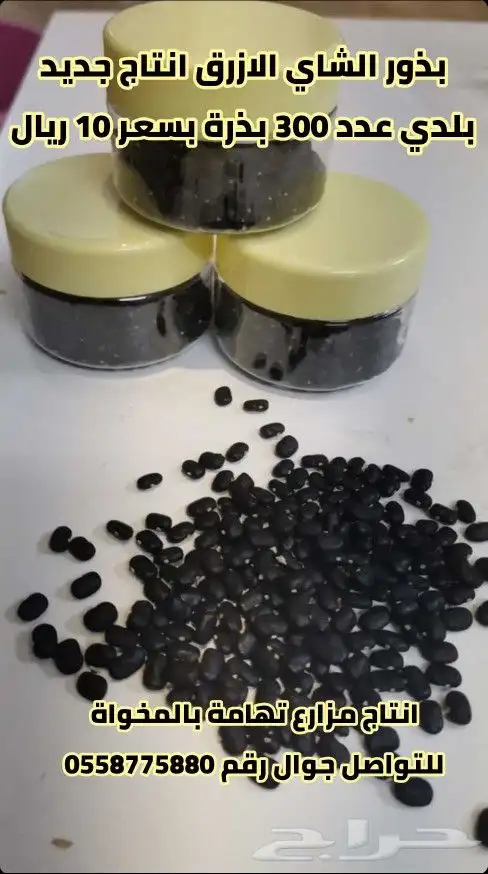 بذور الشاي الازرق 300 بذرة ب10 ريال 0