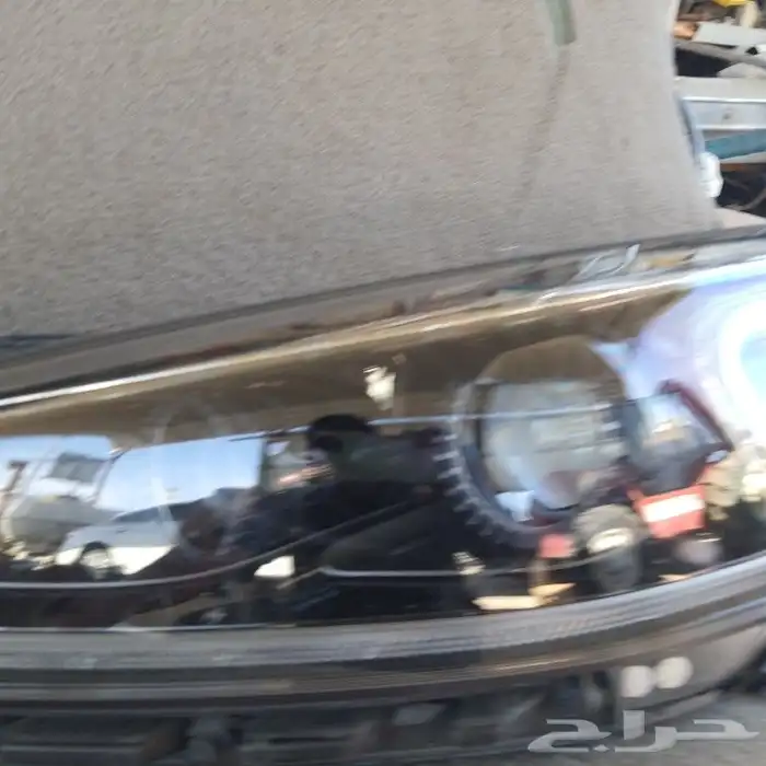 كادنزا2018 شمعات زنن 6