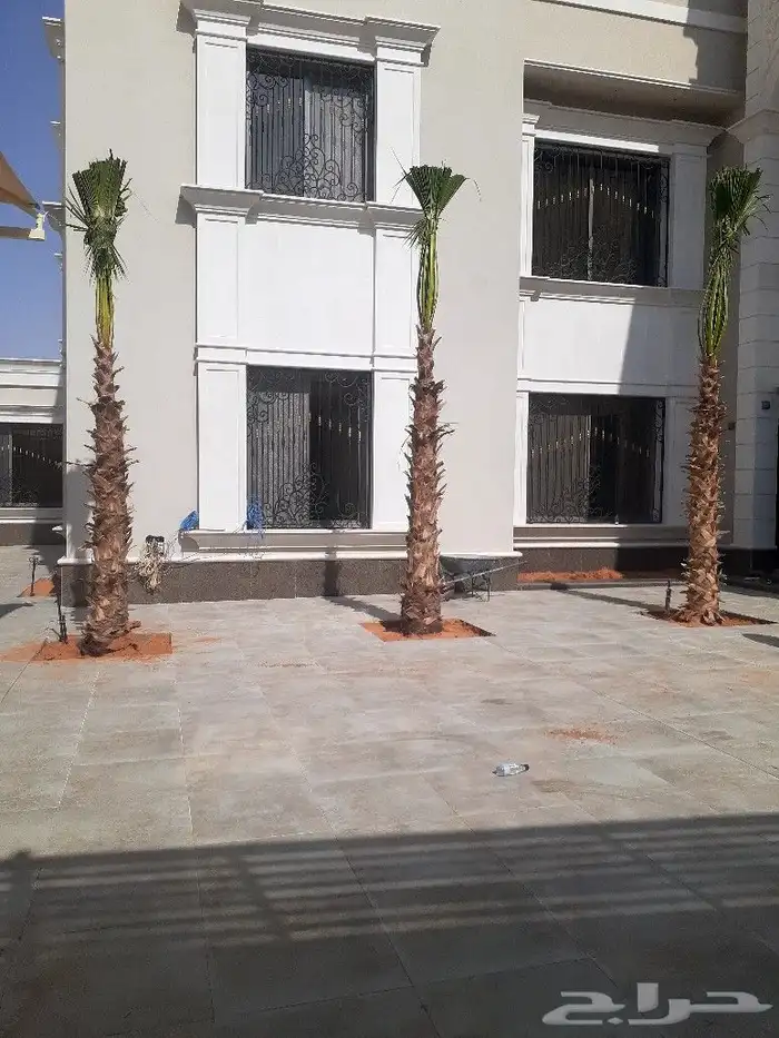 يوجد لدينا جميع انواع النخيل عربي وشنطني 4