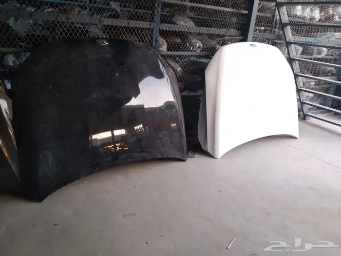 كبوت كي فايف 2021-2022 1