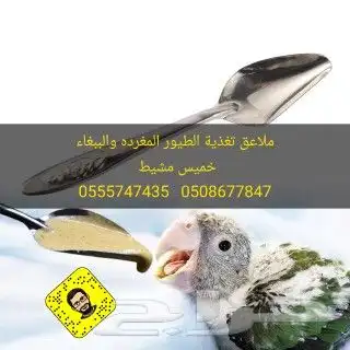 مستلزمات كروان روز بادجي كناري زيبرا 11