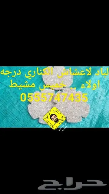 مستلزمات كروان روز بادجي كناري زيبرا 17