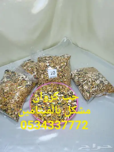 مستلزمات كروان روز بادجي كناري زيبرا 49
