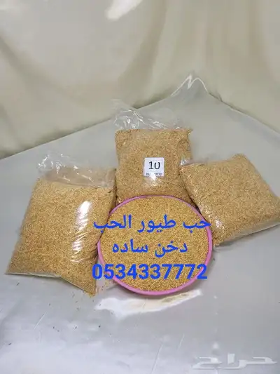مستلزمات كروان روز بادجي كناري زيبرا 47