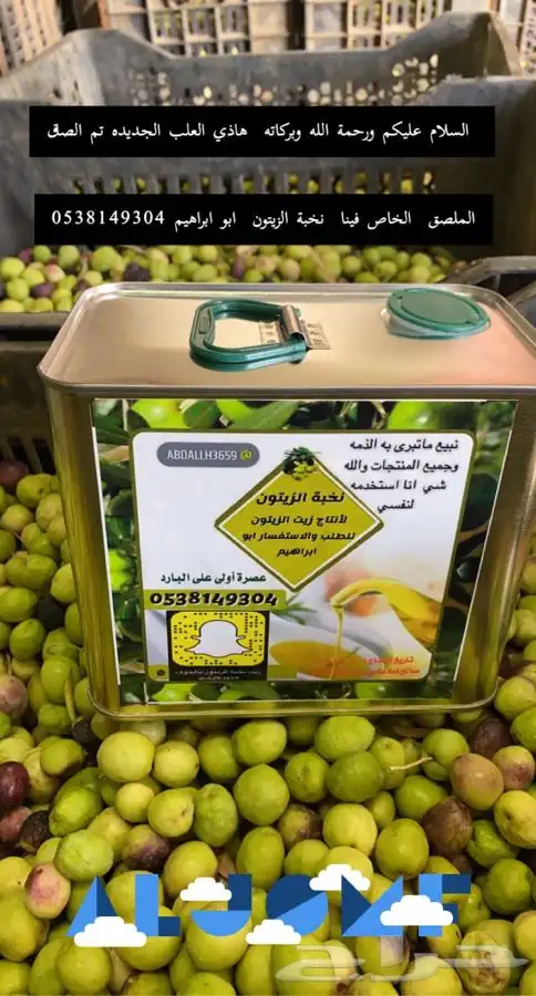 زيت زيتون نخبة الزيتون 1446 جديد عصره اولى بارد 1