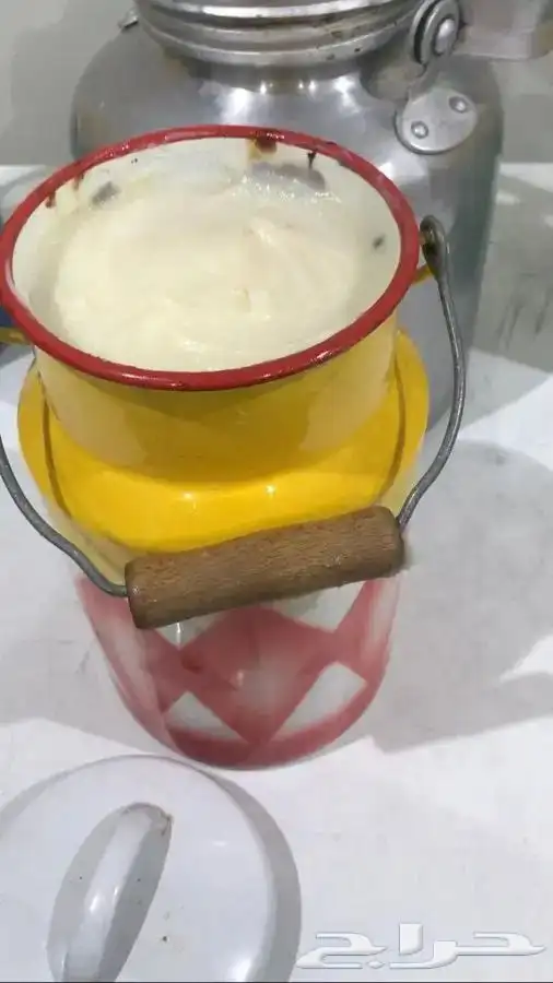 سمن بقر وغنم في بيشة 4