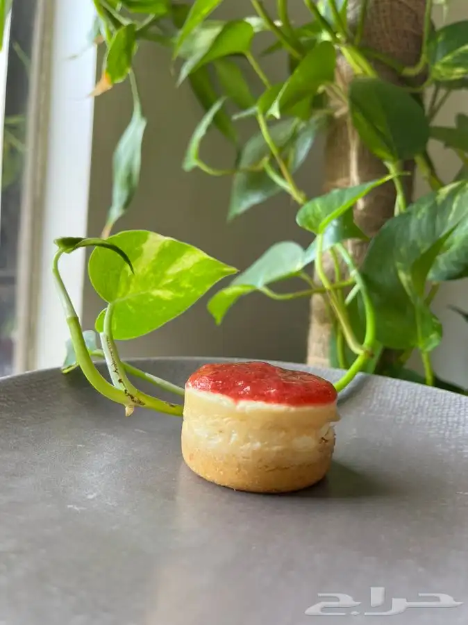 خبز كيتو   حلى كيتو   ام علي شريك كيتو منتجات تخبز يوميا 2