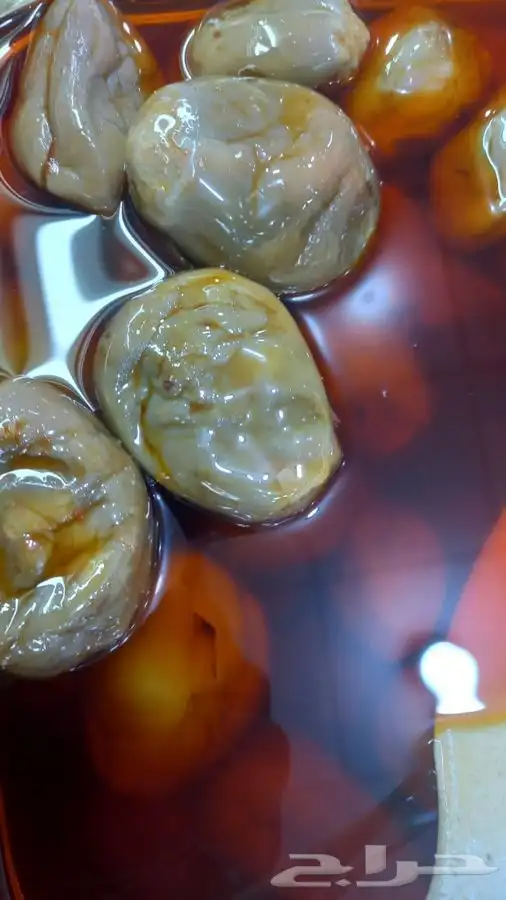 زيت زيتون فلسطيني العصرة الجديدة 14