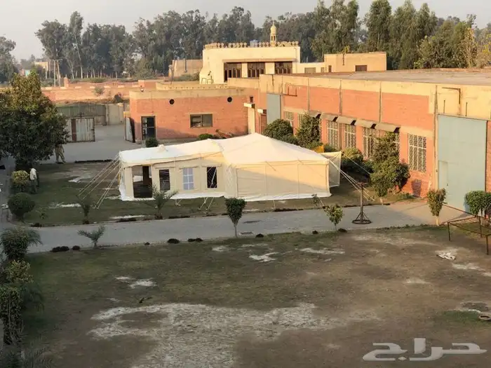 خيام صباح البادية مع المقدمة والجملون شبيهة صباحية الكويت 18