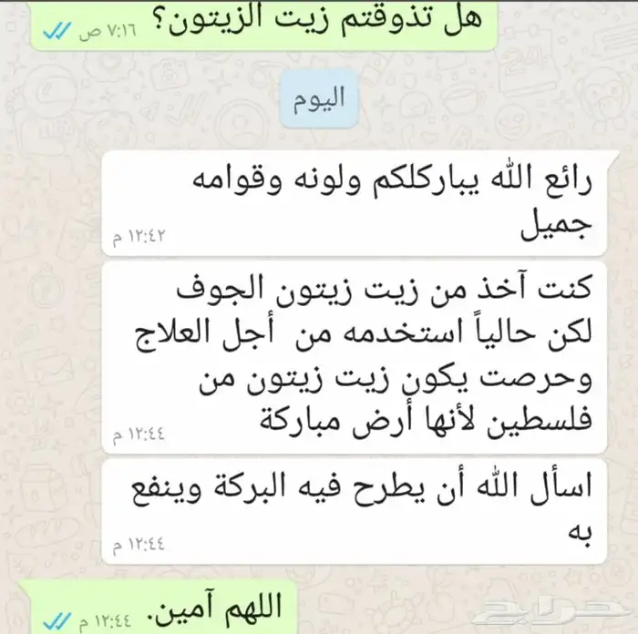 زيت زيتون فلسطيني العصرة الجديدة 17