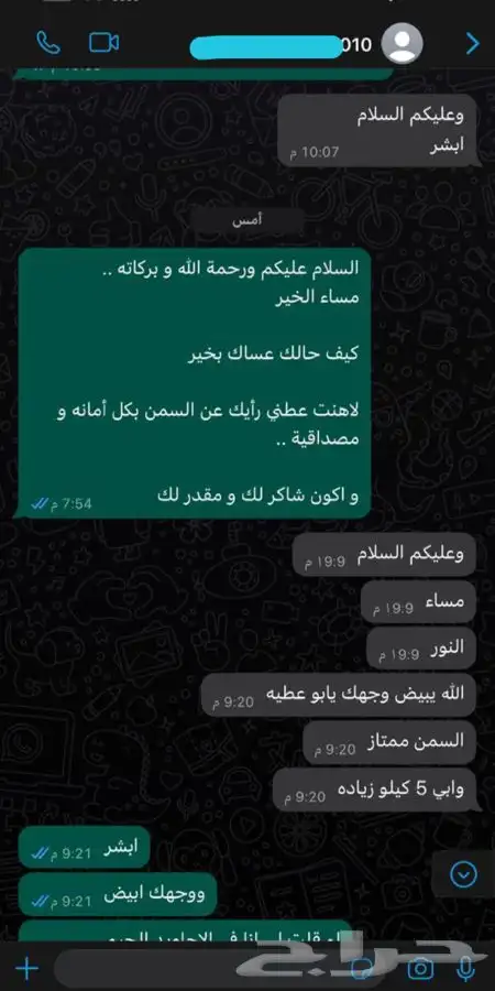 سمن غنم بري صافي 5