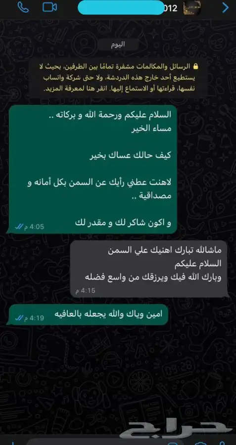 سمن غنم بري صافي 2