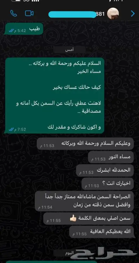 سمن غنم بري صافي 4