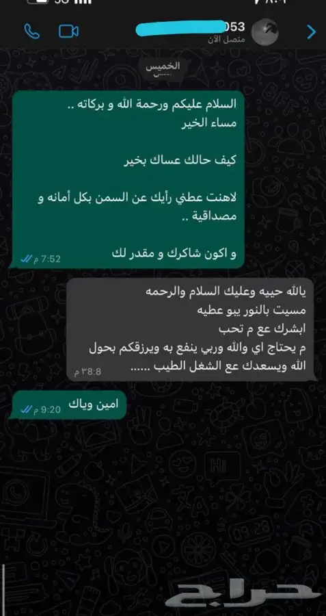 سمن غنم بري صافي 3