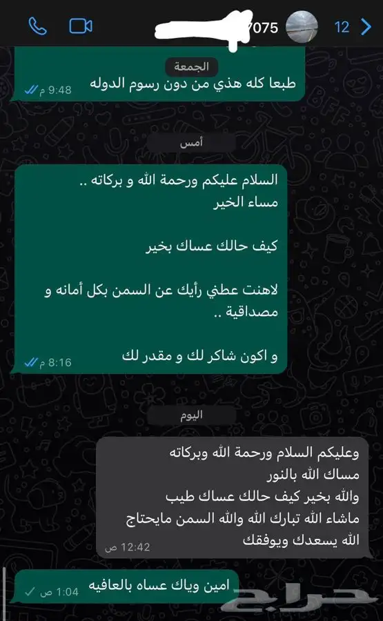 سمن غنم بري صافي 6