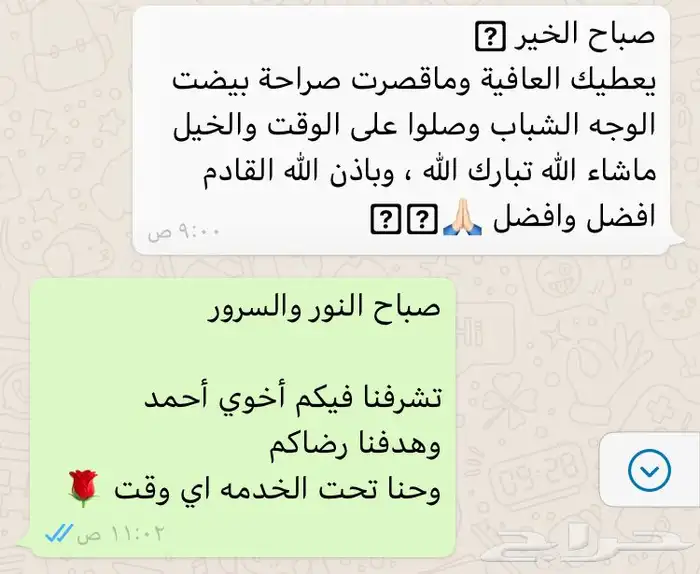 حنطور مع الحصان للإيجار  34