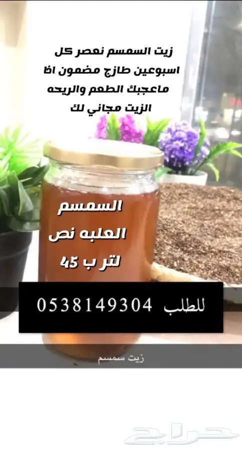 زيت زيتون نخبة الزيتون 1446 جديد عصره بارد شرط مضمون 3