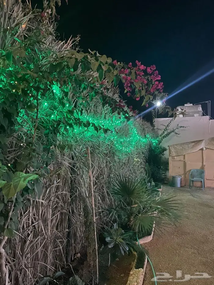 استراحة للايجار اليومي 12