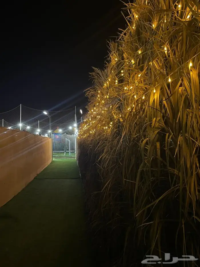 استراحة للايجار اليومي 13