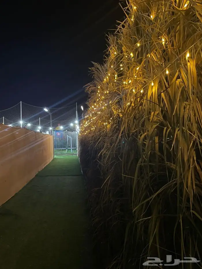 مخيم الايام العادية 350 لليوم 23