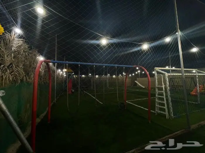 مخيم الايام العادية 350 لليوم 29