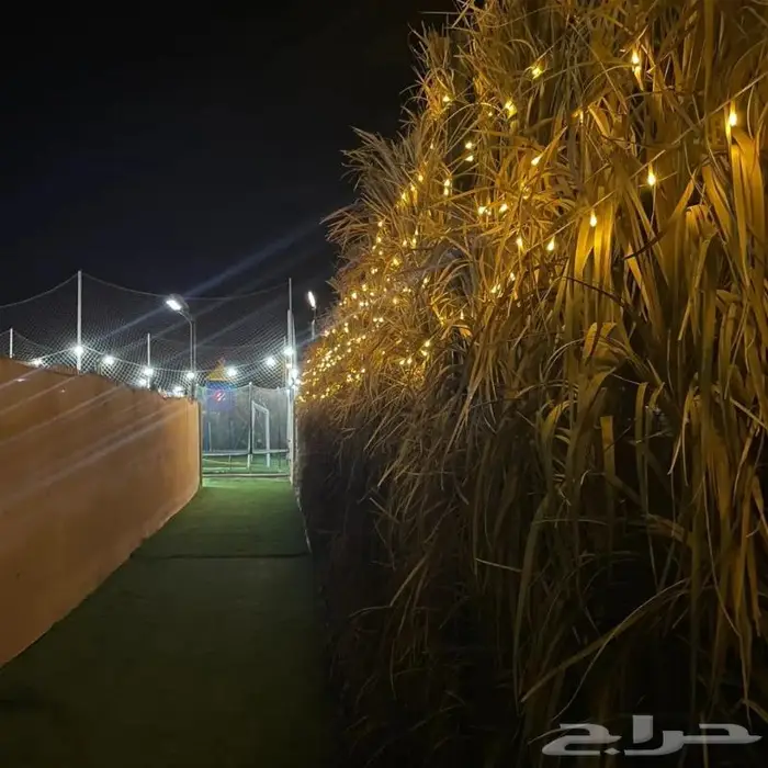 مخيم عروض التأجير 350 لليوم 15