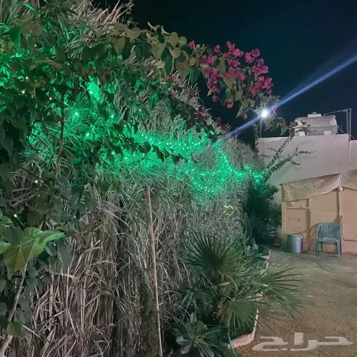 مخيم عروض التأجير 350 لليوم 18