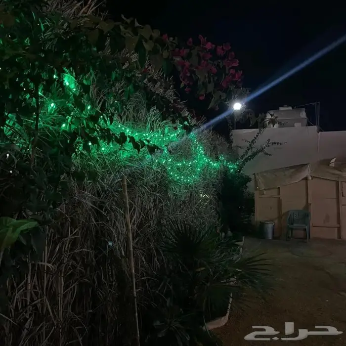 مخيم عروض التأجير 350 لليوم 22