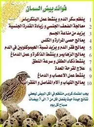 للبيع بيض سمان 1