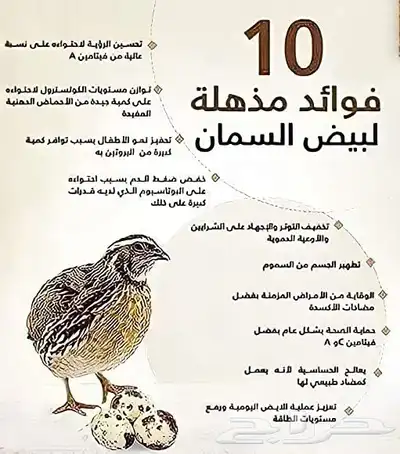 للبيع بيض سمان 0