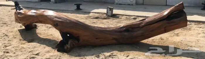 جذع شجر اثل طبيعي جميل ديكور تصميم اثاث 6