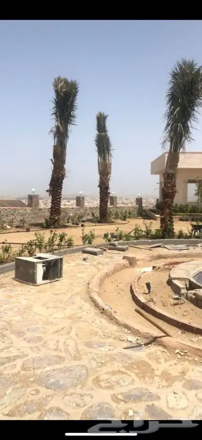 عشب اخضر طبيعي C2000 صافي جوده عاليه 67