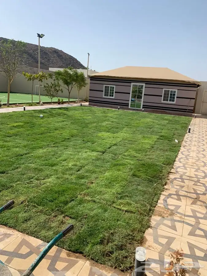 عشب اخضر طبيعي C2000 صافي جوده عاليه 38