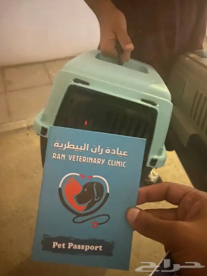 توصيل حيوانات 5