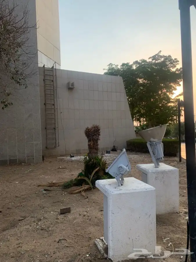 عشب اخضر طبيعي C2000 صافي جوده عاليه 21