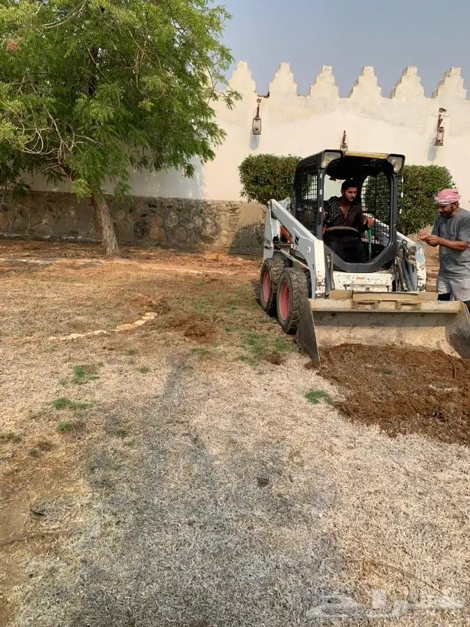 عشب اخضر طبيعي C2000 صافي جوده عاليه 3