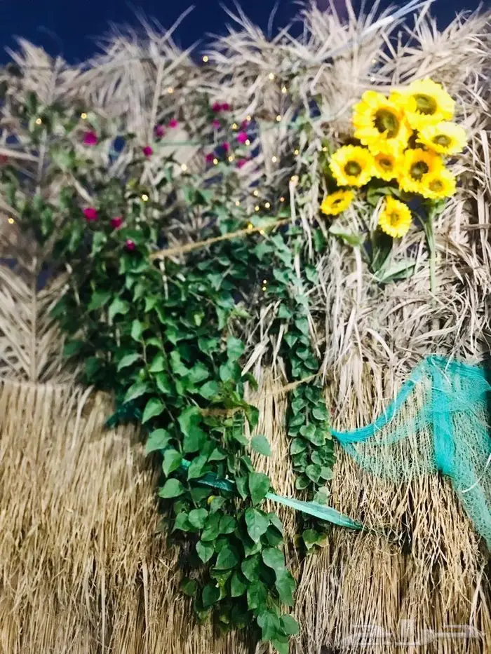 مخيم للتأجير 350 ايام الاسبوع 18