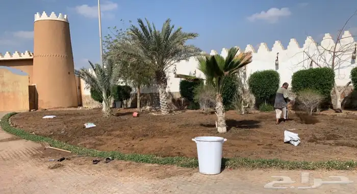 عشب اخضر طبيعي C2000 صافي جوده عاليه 0