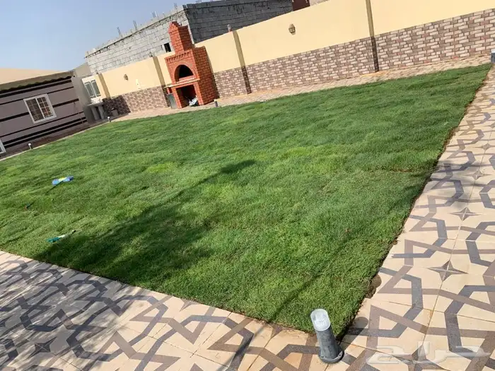 عشب اخضر طبيعي C2000 صافي جوده عاليه 39