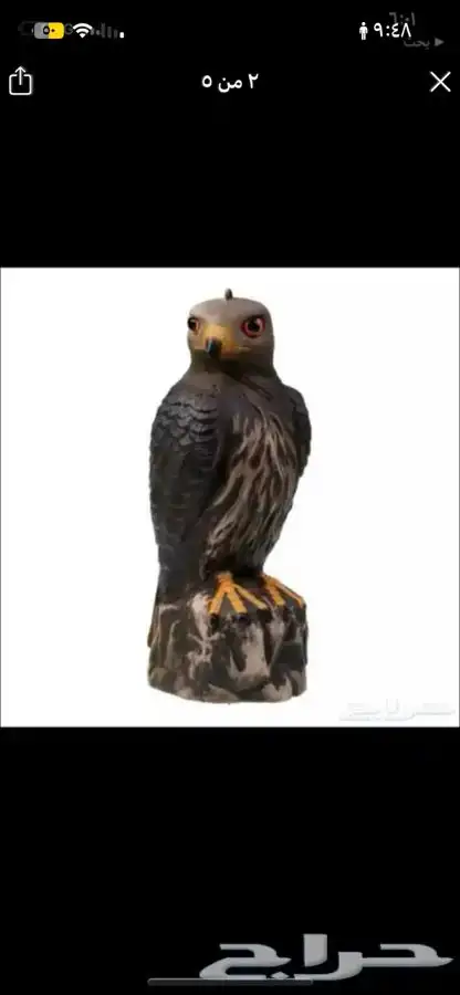 تمثال صقر لتخويف وطرد الحمام   لشحن جميع مناطق المملكة 6