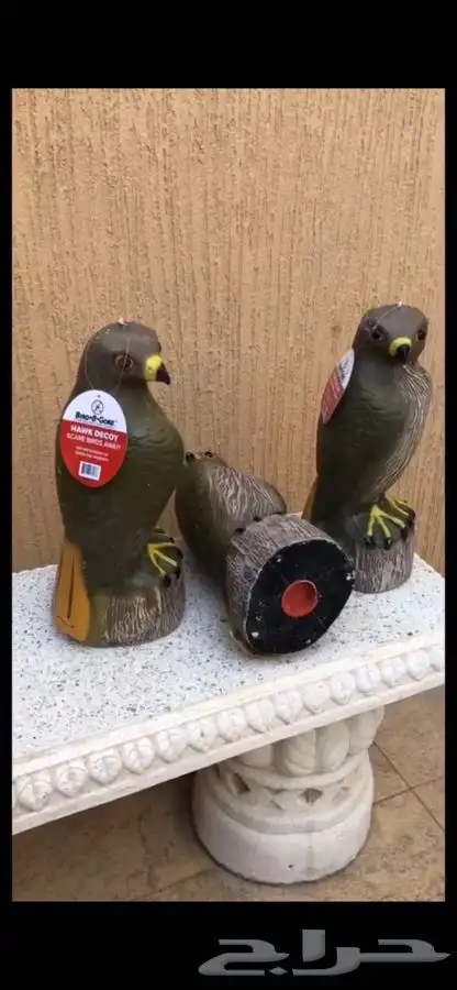 تمثال صقر لتخويف وطرد الحمام   لشحن جميع مناطق المملكة 0