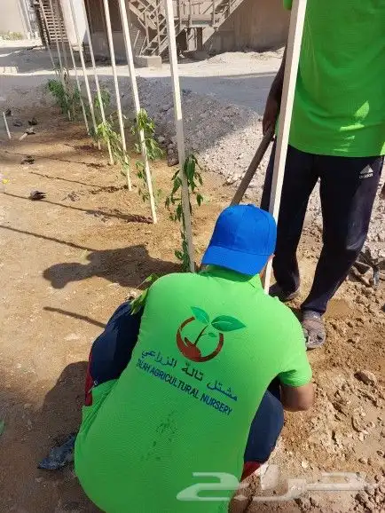 اكبر مشتل زراعي بمحافظة خليص 52