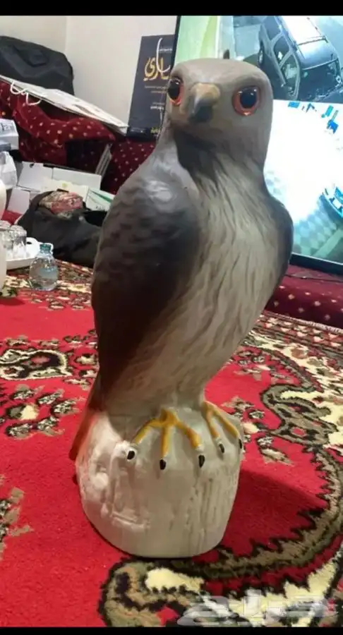 تمثال صقر لتخويف وطرد الحمام   لشحن جميع مناطق المملكة 3