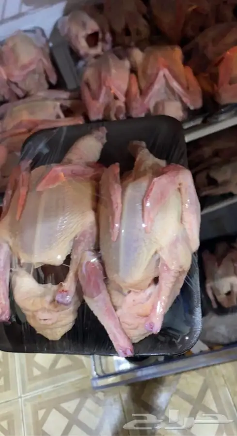 حمام فرنسي سوبر جامبو 2