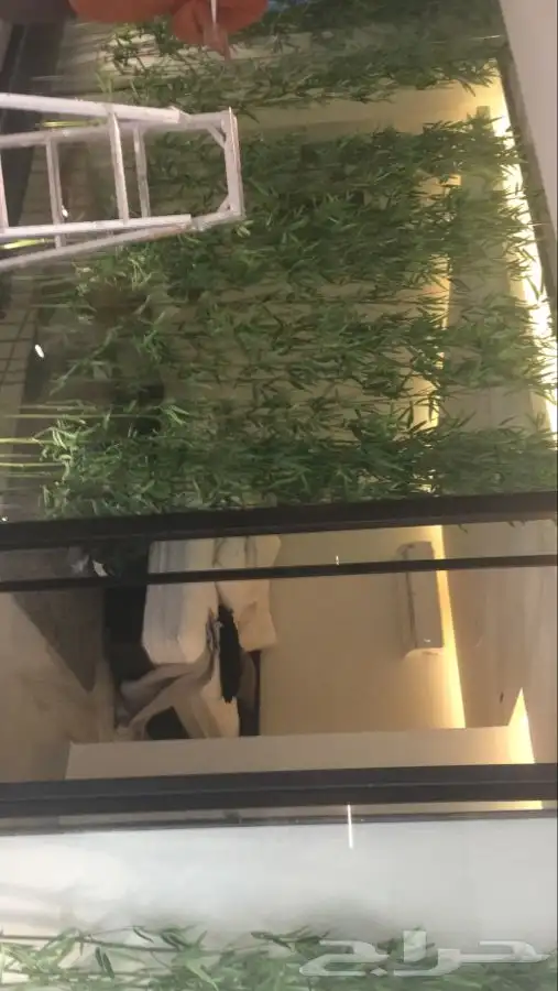 زجاج سكريت زجاج الخليج 9