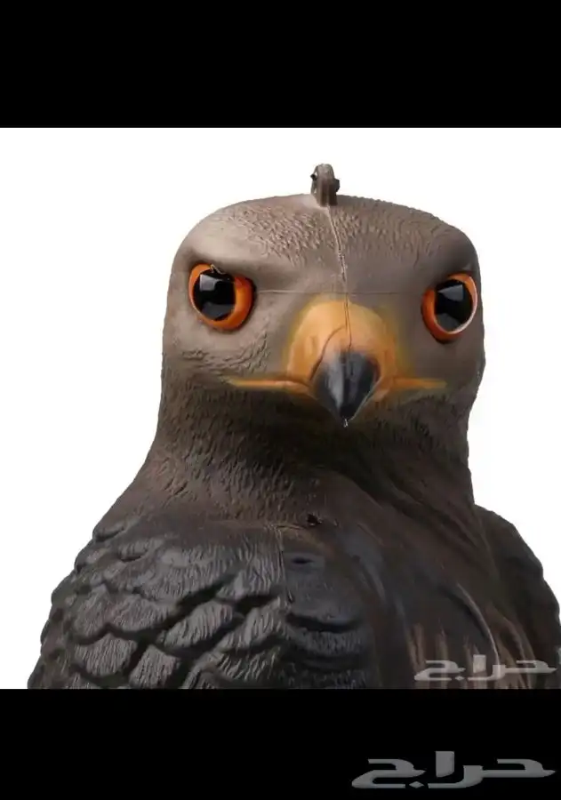 تمثال صقر لتخويف وطرد الحمام   لشحن جميع مناطق المملكة 2