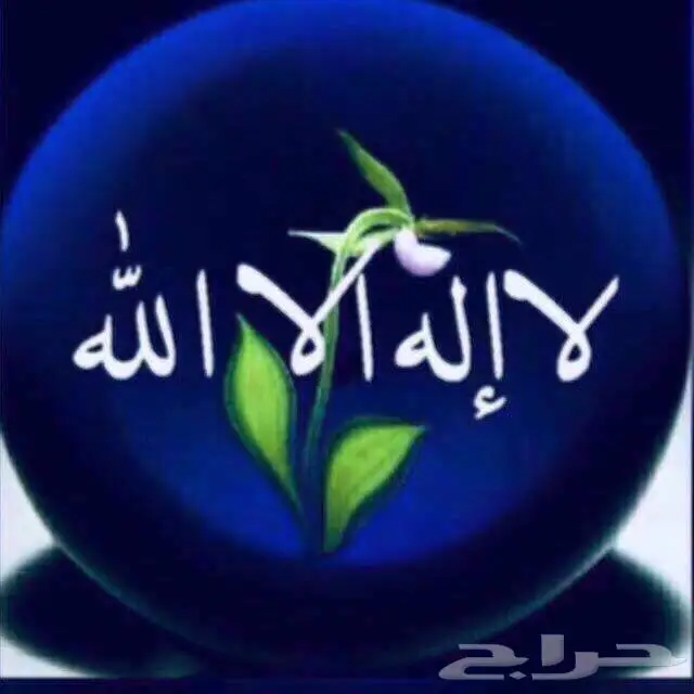 ذاكر واستمتع مع مدرس اردني 0562504187 1