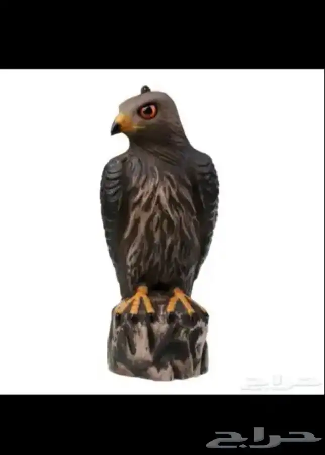 تمثال صقر لتخويف وطرد الحمام   لشحن جميع مناطق المملكة 5