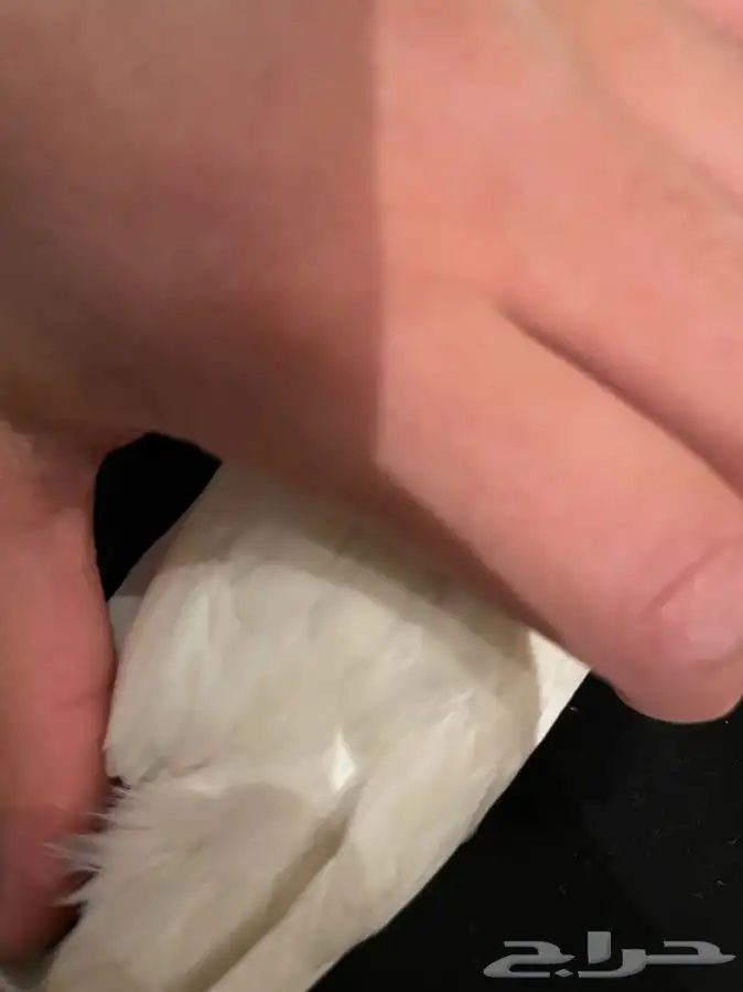 طبات روز البينو عيون حمرا شرط اليفه(تم البيع) 3