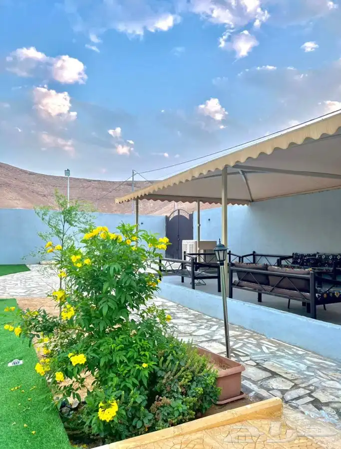 استراحة ومنتجع لافينا للإيجار اليومي 17